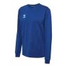Sweat d'entraînement HmlAuthentic CO