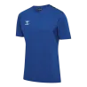 Bleu roy
