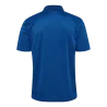 Bleu roy