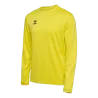 Jaune flamboyant