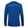 Bleu roy