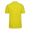Jaune flamboyant