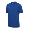 Bleu roy