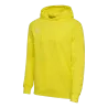 Jaune flamboyant