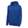 Bleu roy