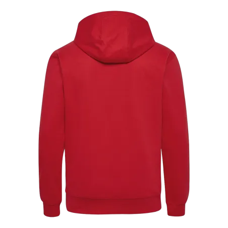 Sweat à capuche HmlGo 2.0