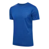 Bleu roy