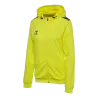 Jaune flamboyant