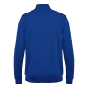 Bleu roy