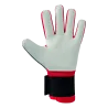Gants de gardien Flex-Ray Robusto