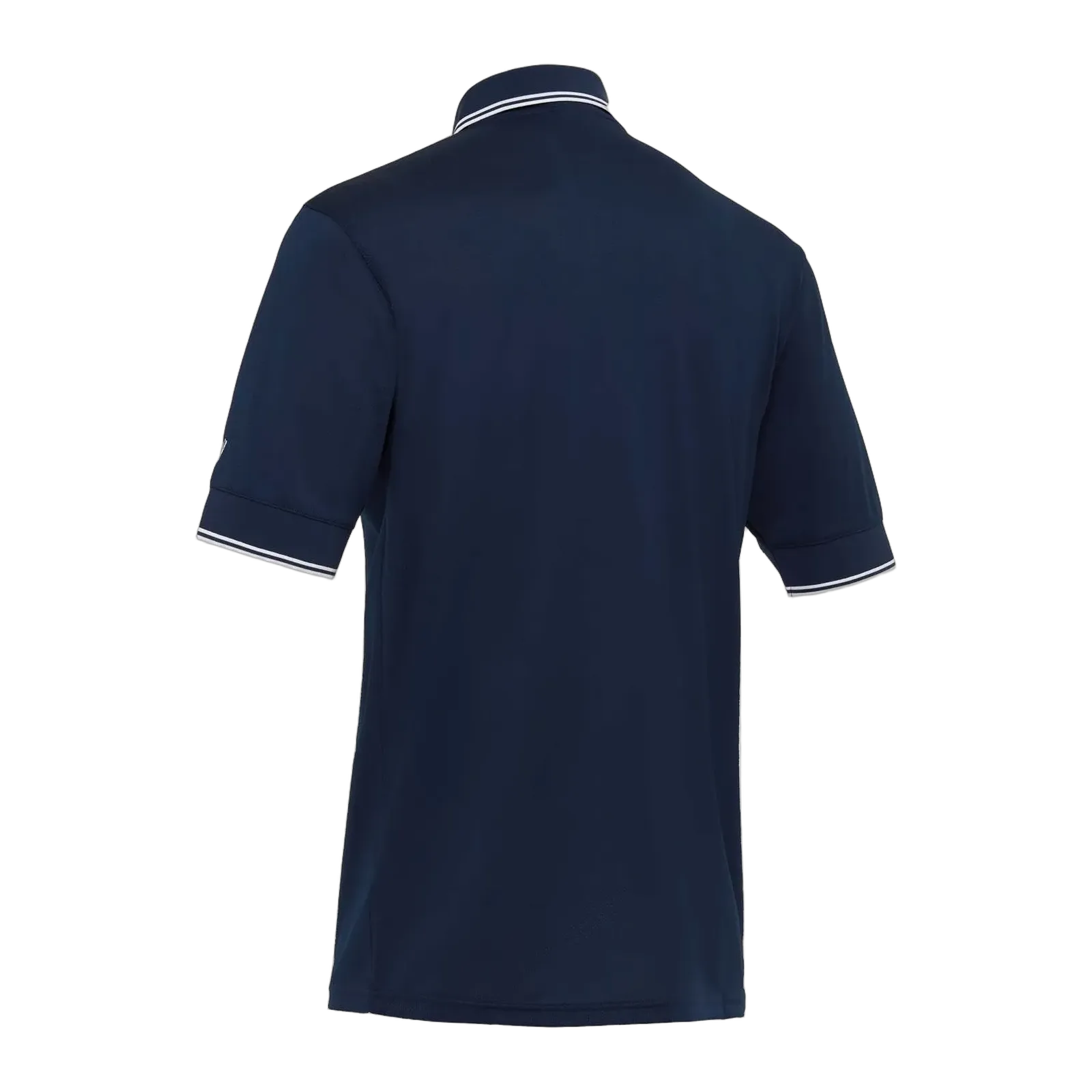 Polo Umpire