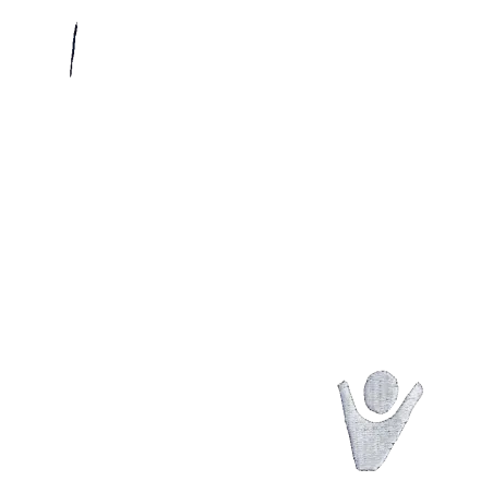 Polo Umpire