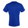 Bleu roy