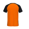 Maillot Tiger VI