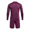Ensemble de gardien Zamora IX