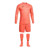 Ensemble de gardien Zamora IX