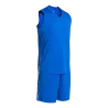 Bleu roy