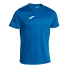 Bleu roy