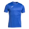 Bleu roy