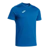 Bleu roy