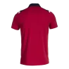 Polo Toledo