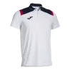 Polo Toledo