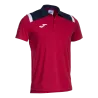 Polo Toledo
