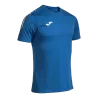 Bleu roy