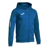 Bleu roy