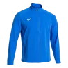 Bleu roy