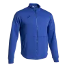 Bleu roy