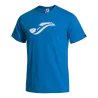 Bleu roy