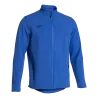 Bleu roy