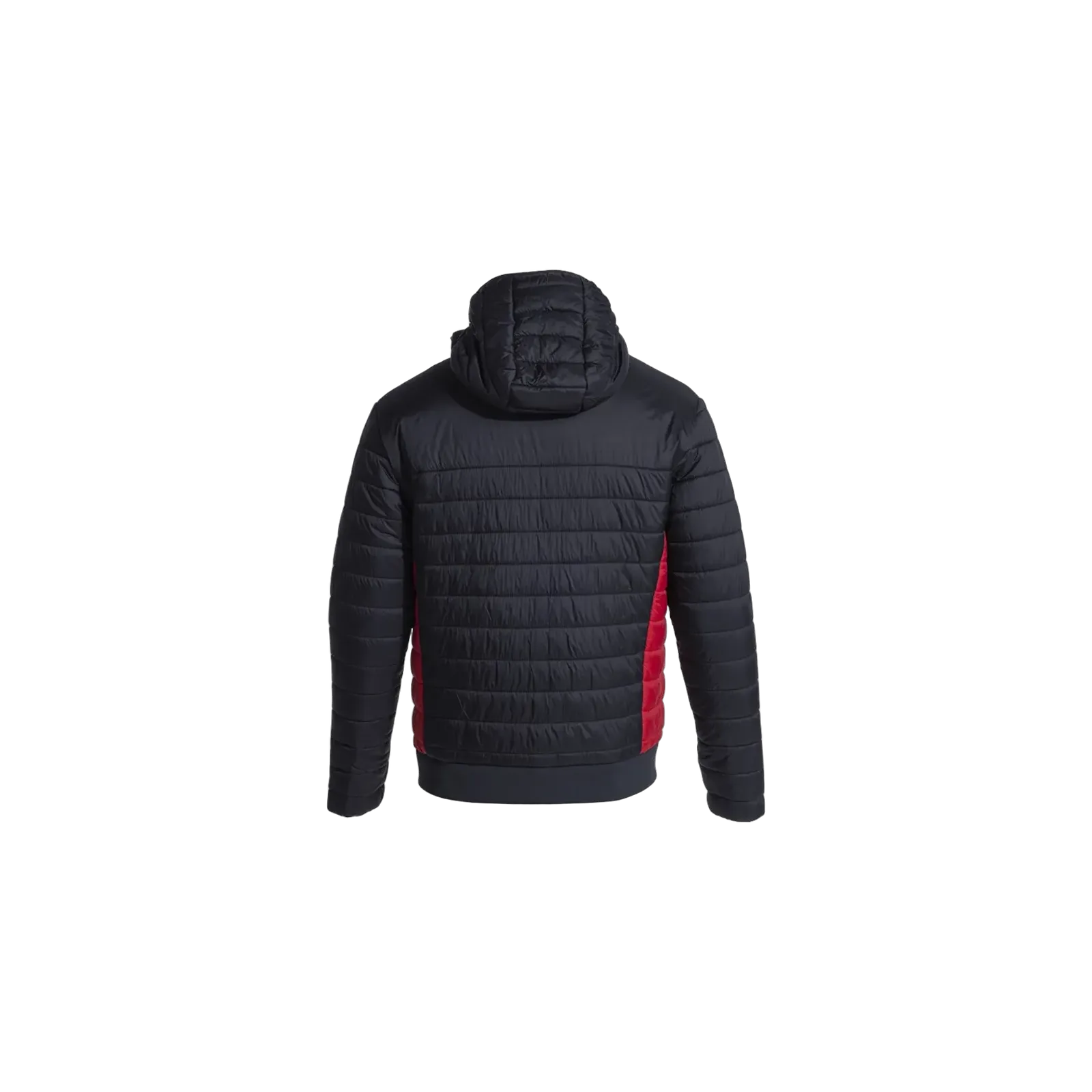 Bomber Urban V