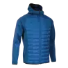 Bleu roy