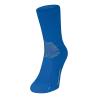 Bleu roy