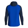 Veste à capuche Iconic