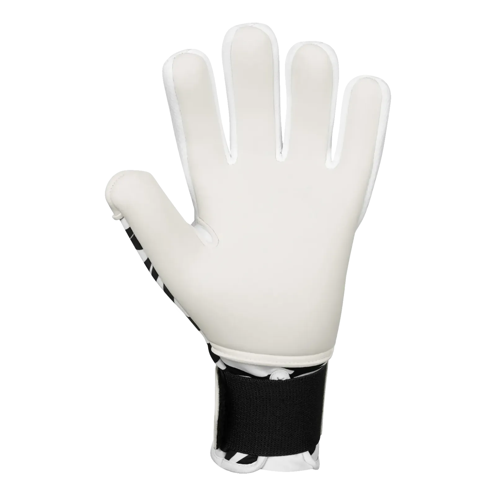 Gants de gardien Animal Giga NC