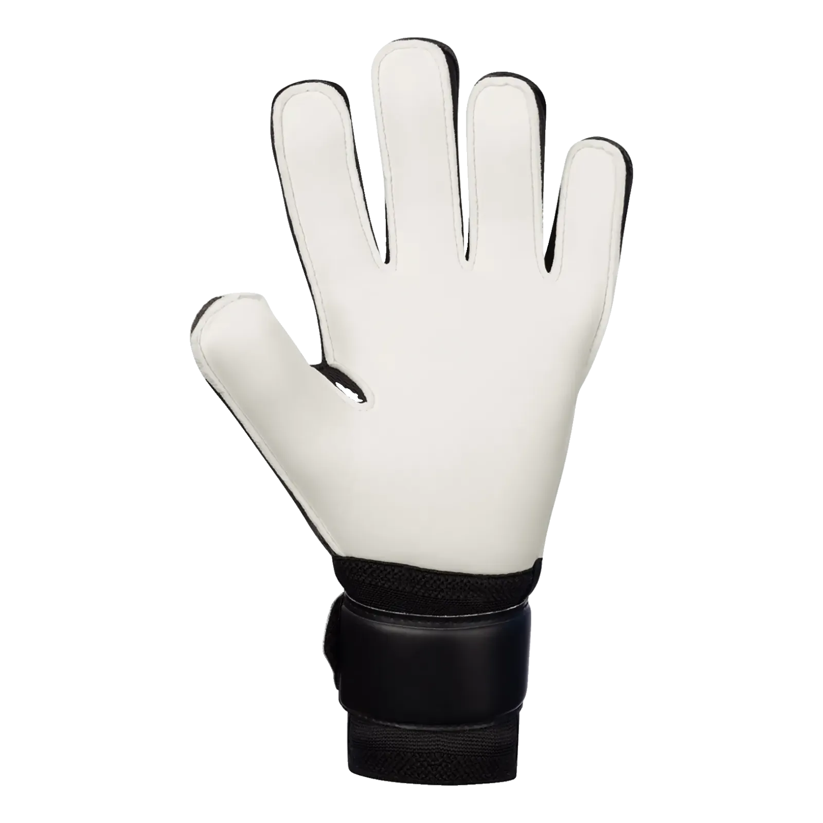 Gants de gardien Animal Basic RC Protection