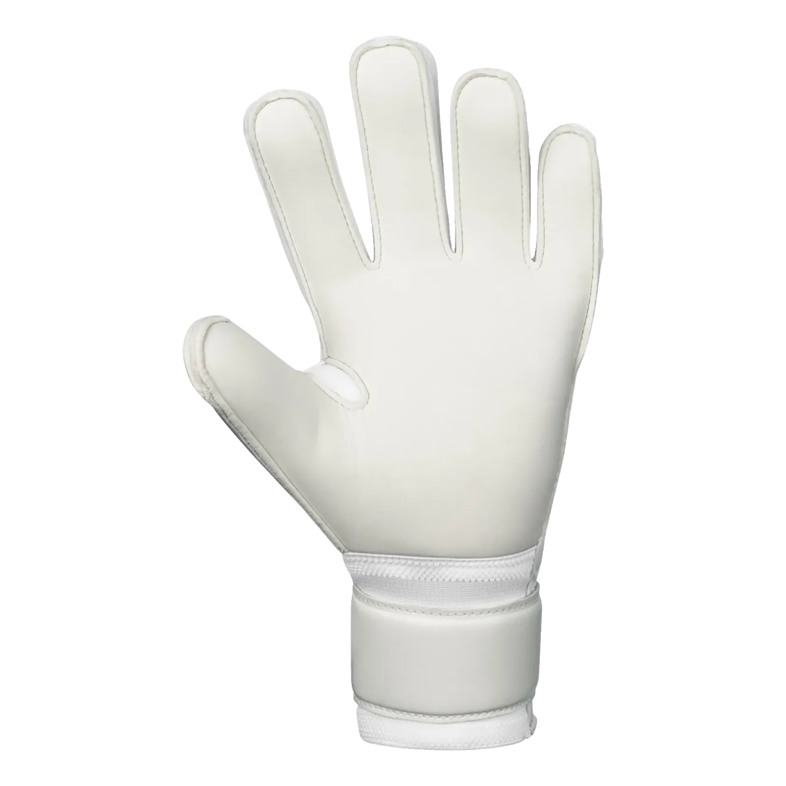 Gants de gardien Animal Basic RC