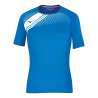 Bleu roy