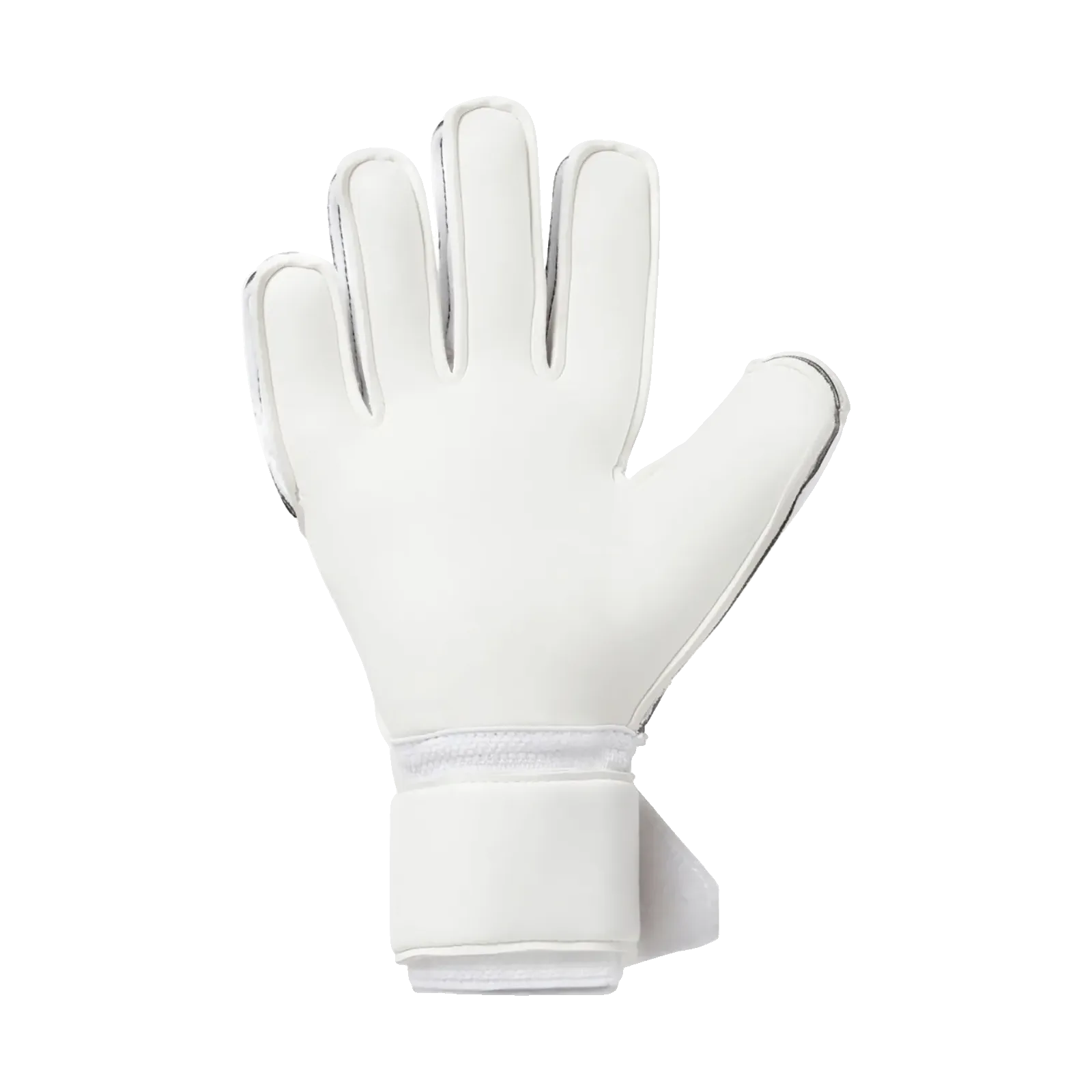 Gants de gardien Absolugrip