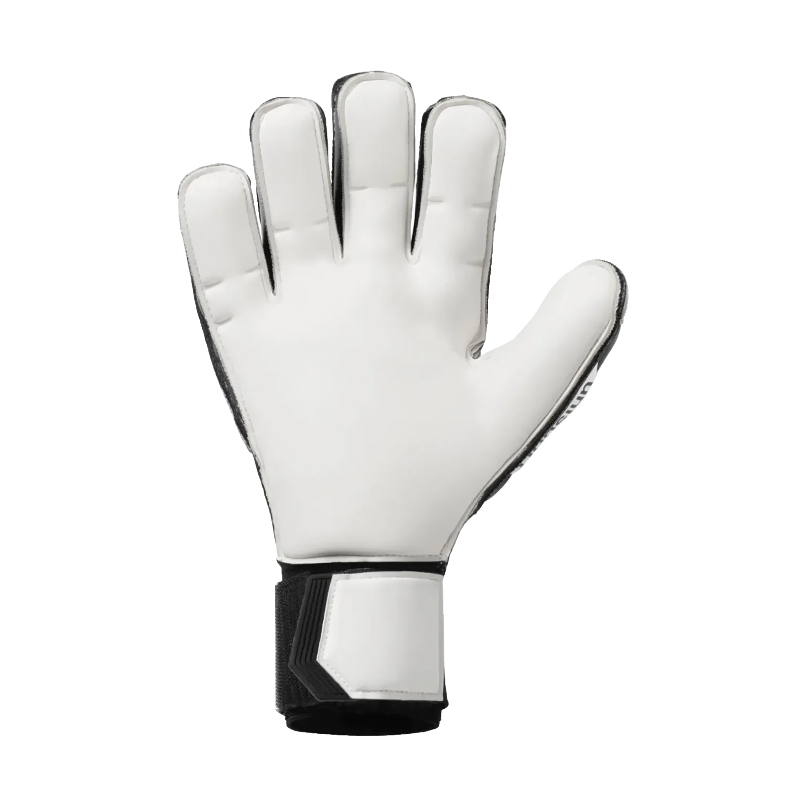 Gants de gardien Absolutgrip Flex Frame Carbon