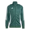 Vert foncé/Blanc