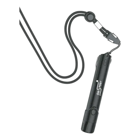 Sifflet électronique