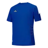 Bleu roy/Blanc