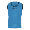 Bleu roy