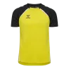 Jaune vif/Noir