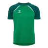 Vert gelée/Vert foncé