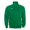 450 - Vert/Blanc